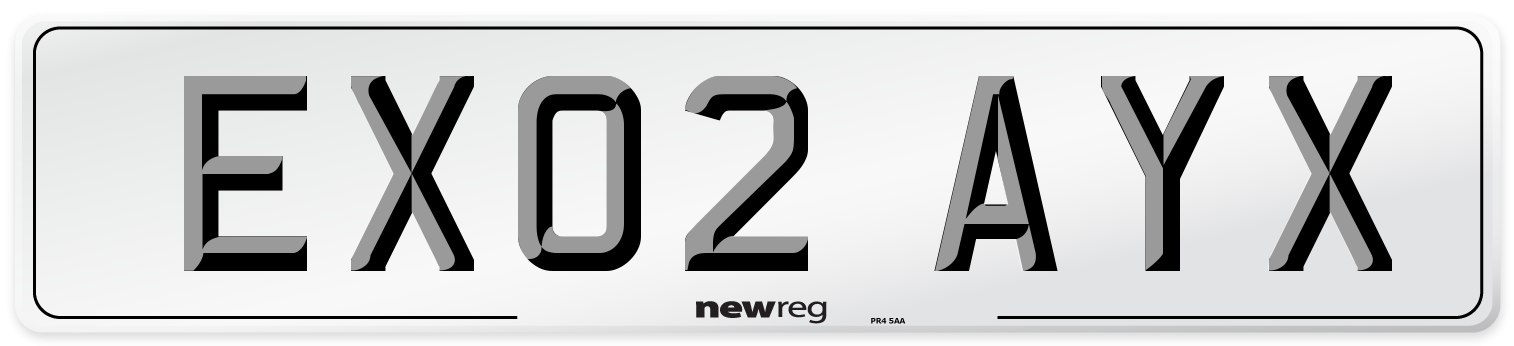 EX02 AYX Number Plate from New Reg